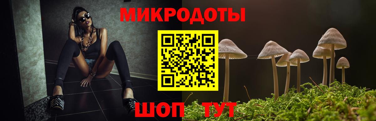 Галлюциногенные грибы Psilocybe Кизилюрт