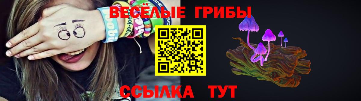 Галлюциногенные грибы мухоморы  Галлюциногенные грибы ЛСД  наркота  Вход с VPN  Кизилюрт 