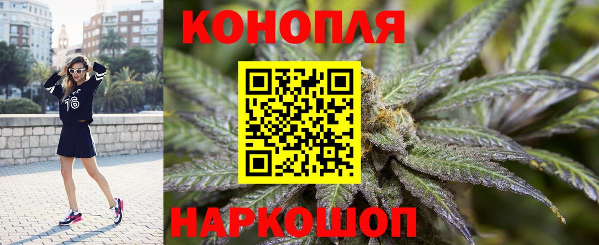Марихуана конопля  Марихуана сатива  Шишки марихуана MAZAR  Вход с VPN  Кизилюрт 