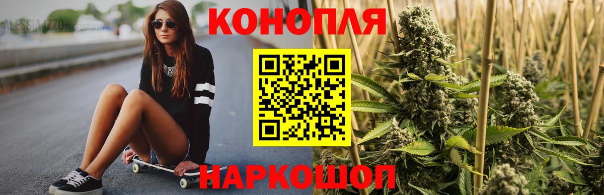 Конопля OG Kush Кизилюрт